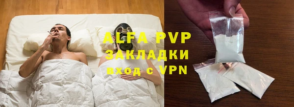трава Белокуриха