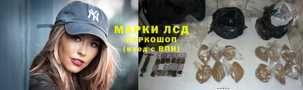 трава Белокуриха