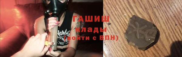 трава Белокуриха