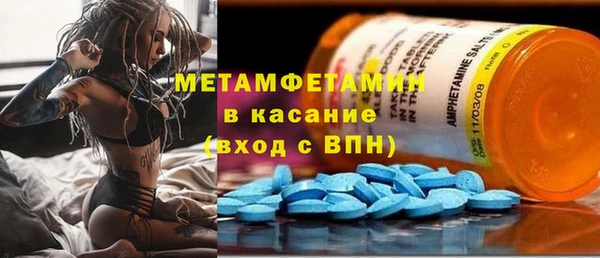 трава Белокуриха