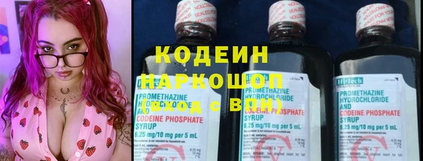 трава Белокуриха
