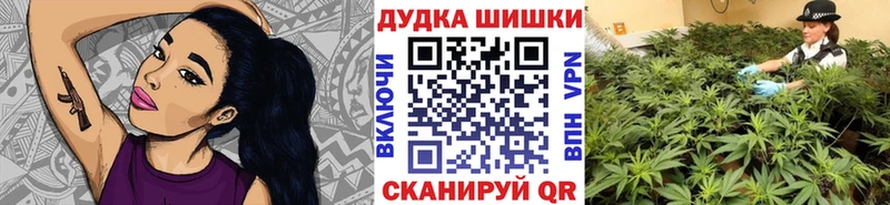 хочу наркоту  Надым  hydra онион  Шишки марихуана планчик 